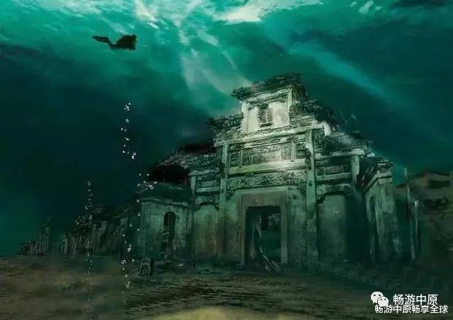 救援大嘴鸟